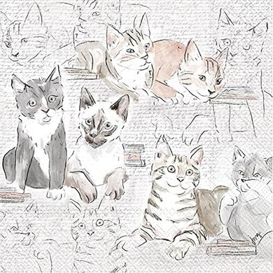 Library Cats Fall Everyday 3-Ply Paper Cocktail Napkins (20)