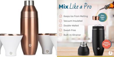 SNOWFOX Premium Cocktail Shaker & Martini Glass Set (22oz, Insulated, Leakproof)
